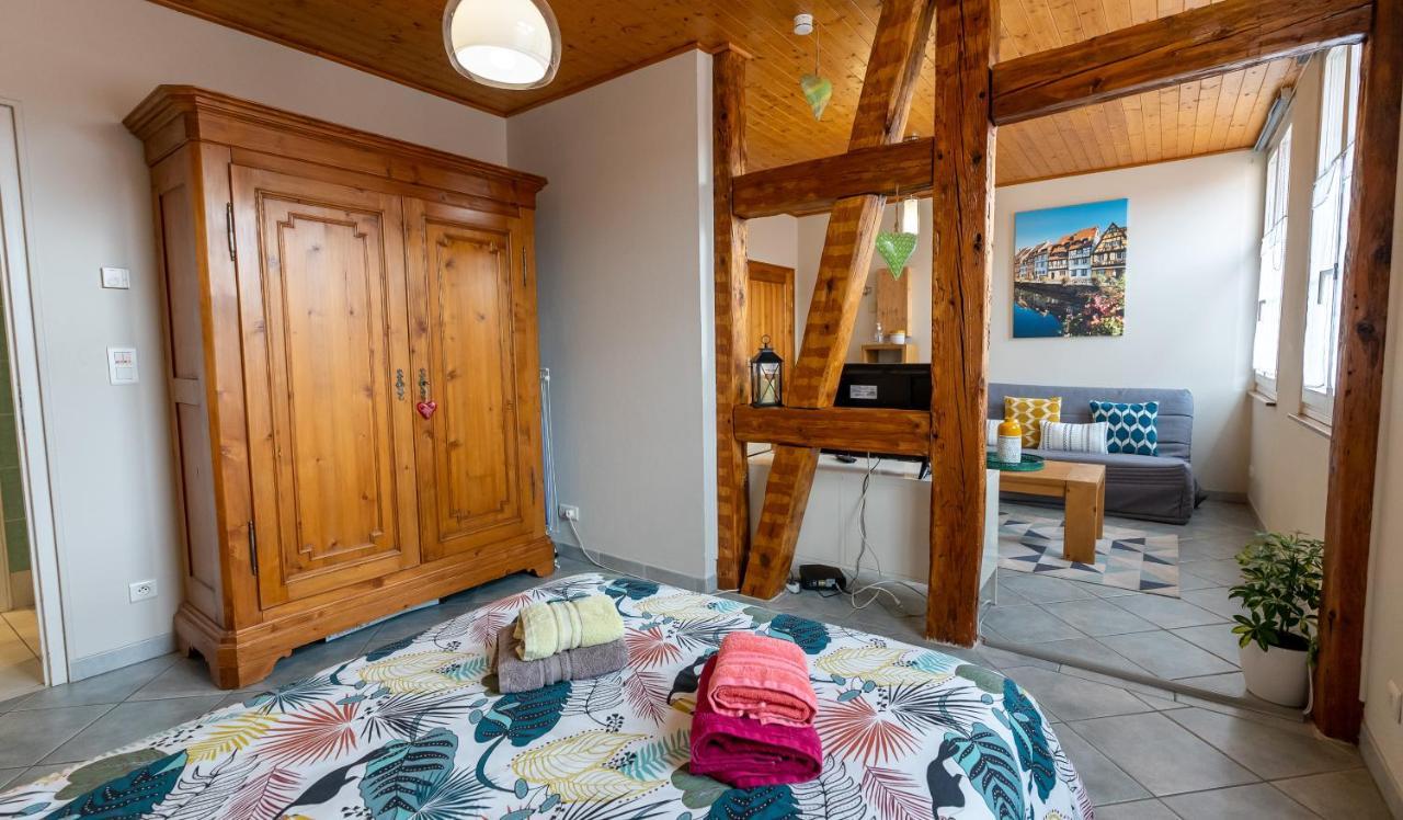 Apartamento Le Schwendala - Quartier Petite Venise Colmar Exterior foto